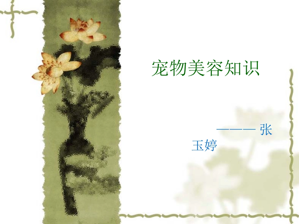 宠物美容知识汇总_第1页