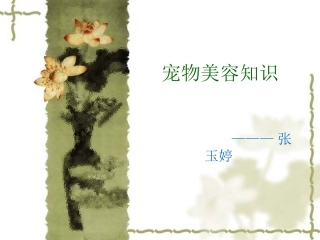 宠物美容知识汇总