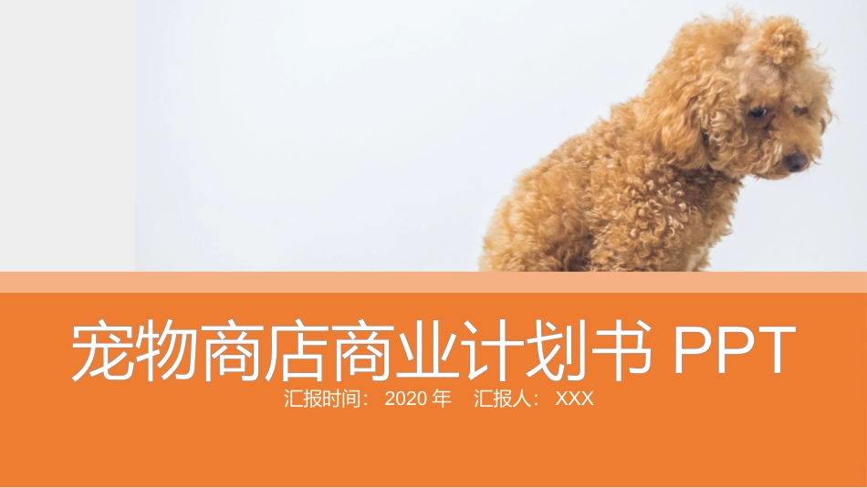 宠物商店商业计划书_第1页