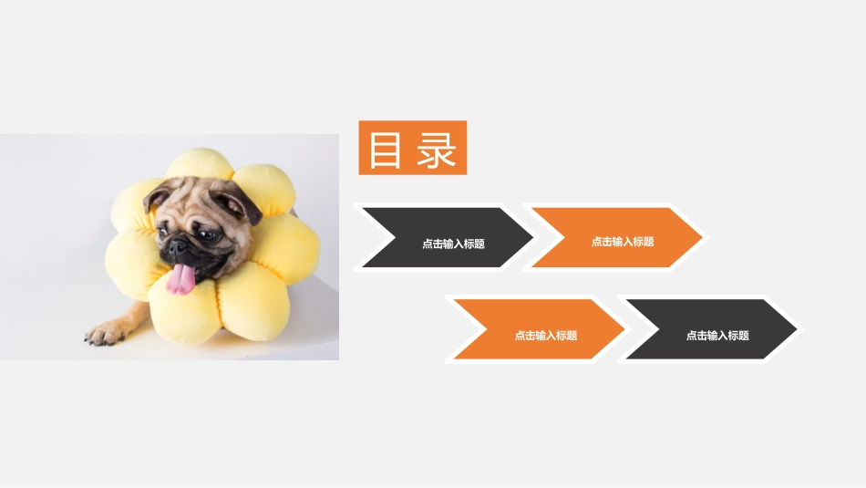 宠物商店商业计划书_第2页