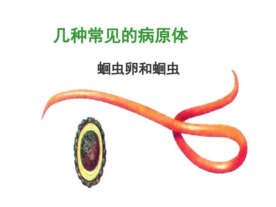 传染病及其预防课件_第3页