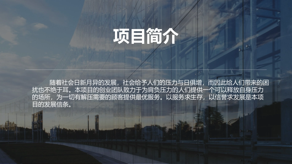 创业计划书减压吧_第2页