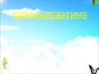 创业计划书食品公司