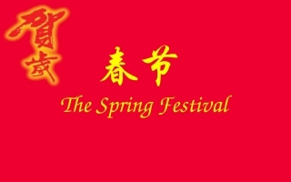 春节作文指导建议