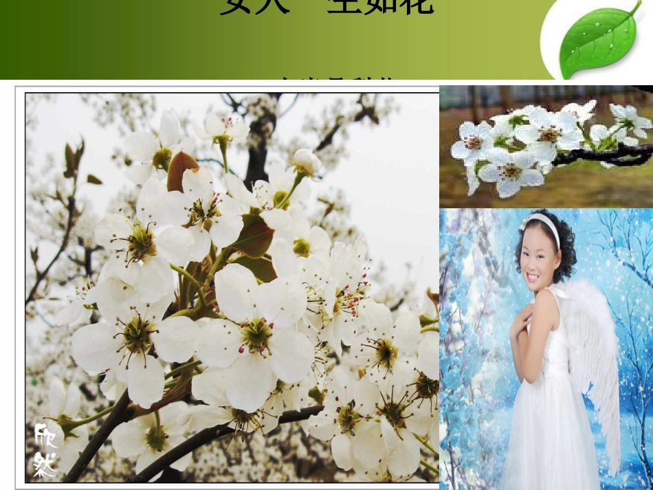 雌激素和女性健康_第3页