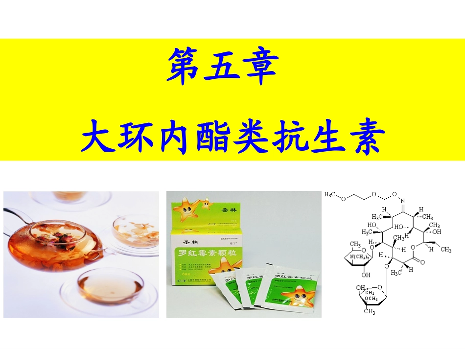 大环内酯类抗生素_第1页