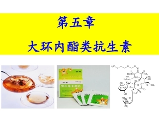 大环内酯类抗生素