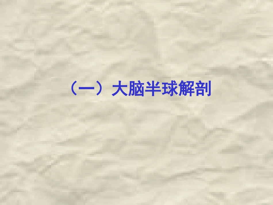 大脑半球病变定位诊疗_第2页