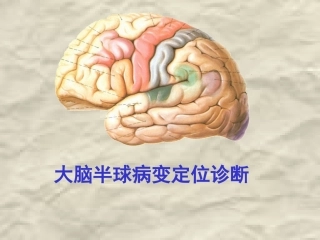 大脑半球病变定位诊疗