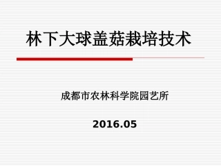 大球盖菇栽培技术分析