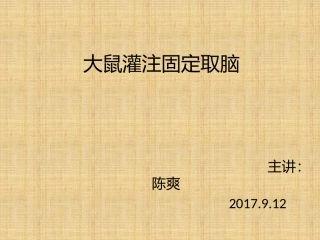 大鼠灌注固定取脑解剖取材