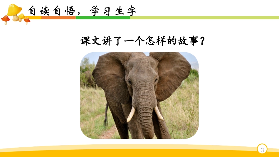 大象的耳朵大象的耳朵课文_第3页