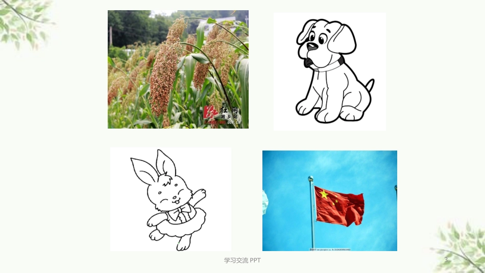 大象的耳朵公开课优质课件_第3页