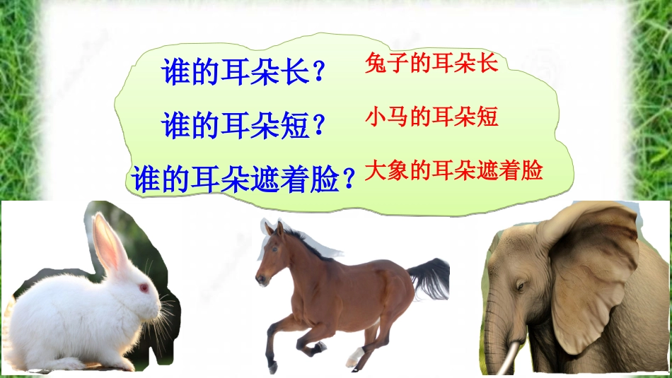 大象的耳朵修改_第1页