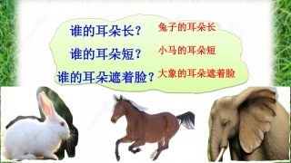 大象的耳朵修改