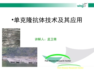 单克隆抗体技术及其应用孟卫青