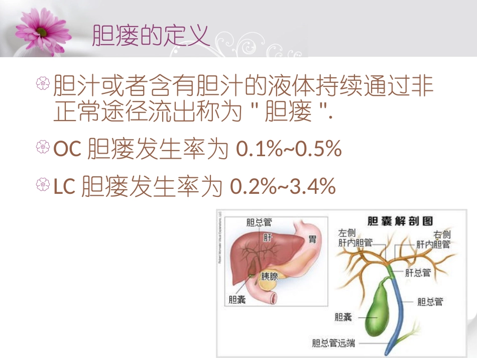 胆瘘的观察及护理_第2页