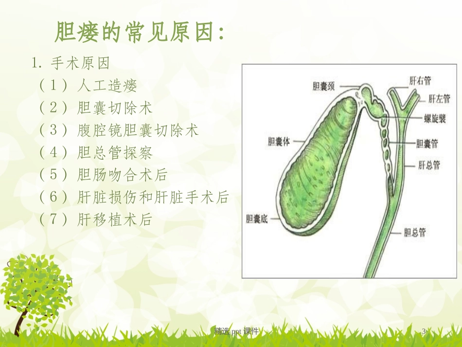 胆瘘患者的护理_第3页