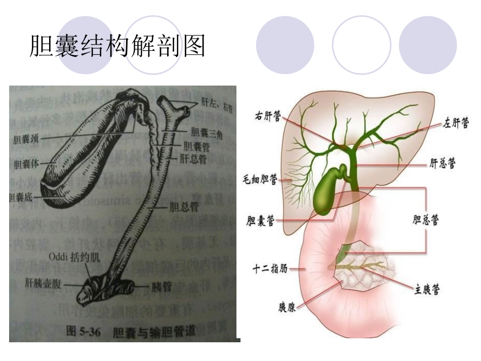 胆总管探查手术配合XW_第2页