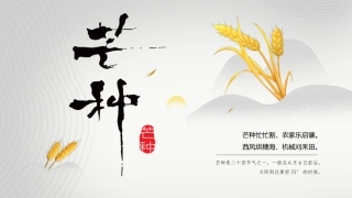 淡雅中国风传统二十四节气之芒种节日介绍