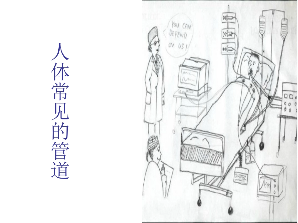 到尿管固定方案_第3页