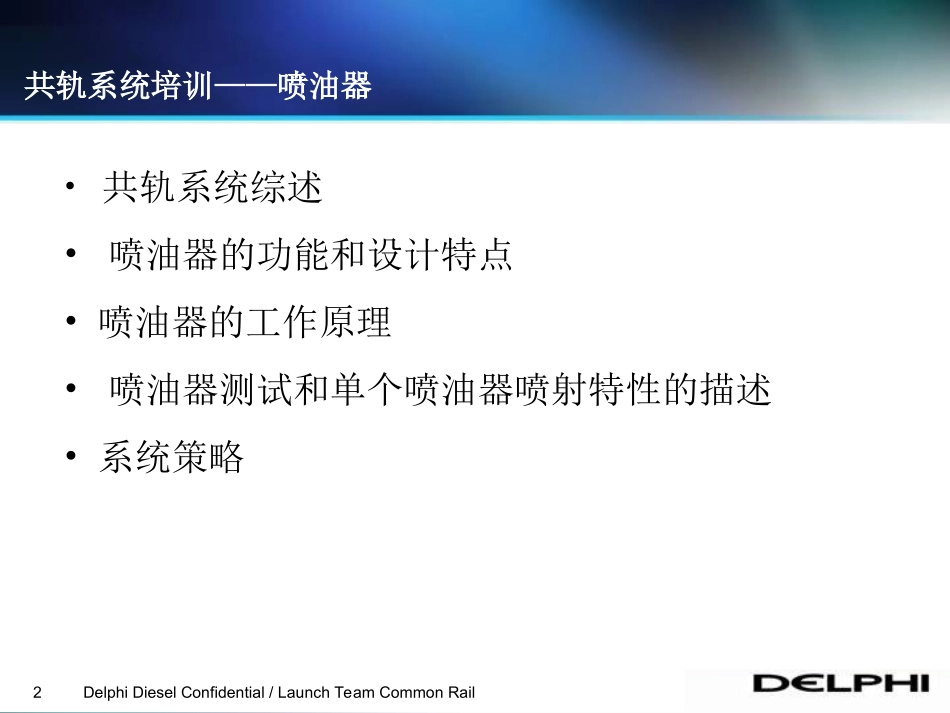 德尔福喷油器介绍_第2页