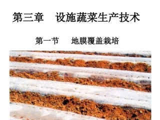 地膜覆盖栽培