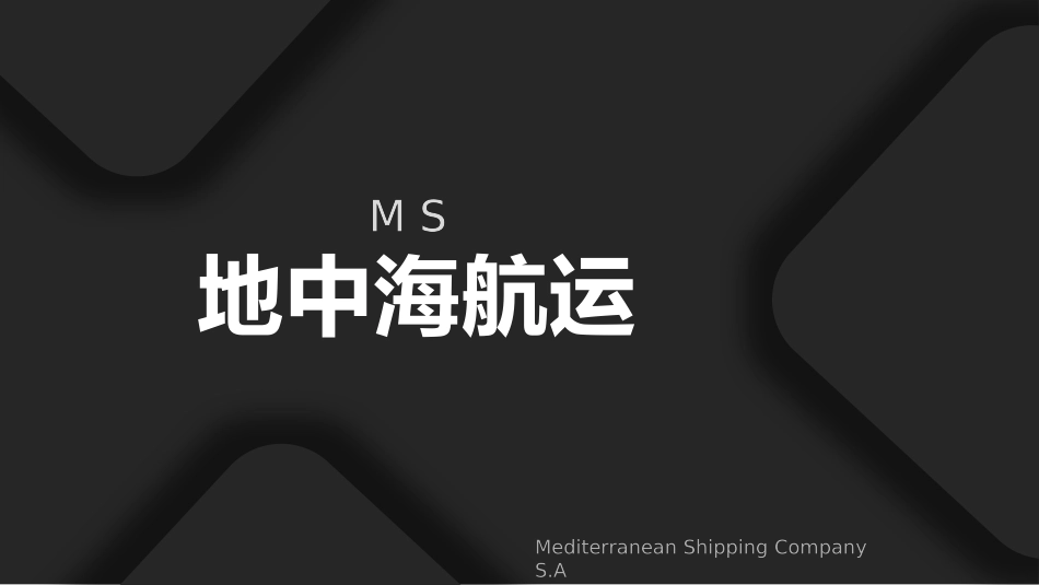 地中海航运公司MSC_第1页