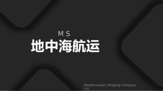 地中海航运公司MSC
