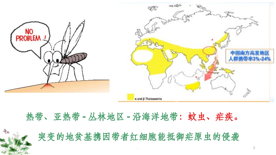 地中海贫血筛查及基因示意图_第3页