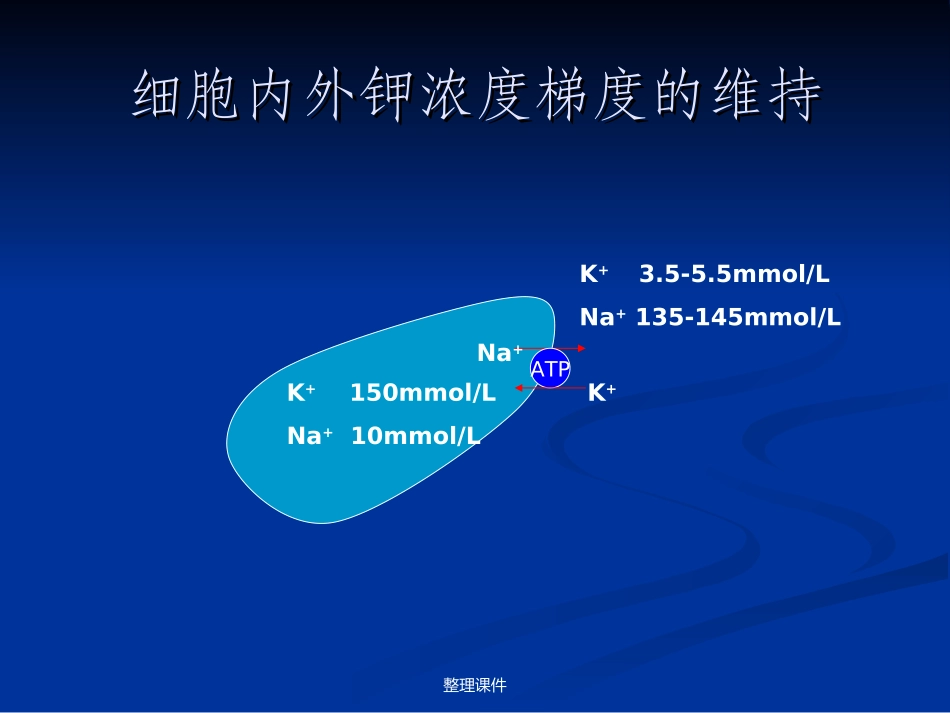 低钾血症诊疗路径_第3页