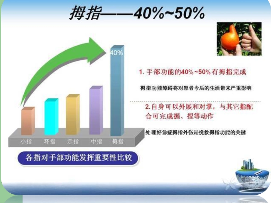 第一掌骨基底骨折讲解_第3页