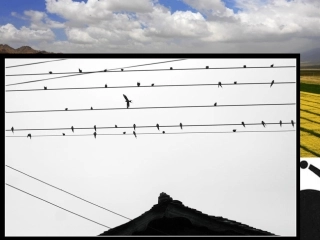 点和线的魅力课件