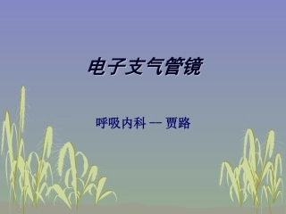 电子支气管镜呼吸内科贾路