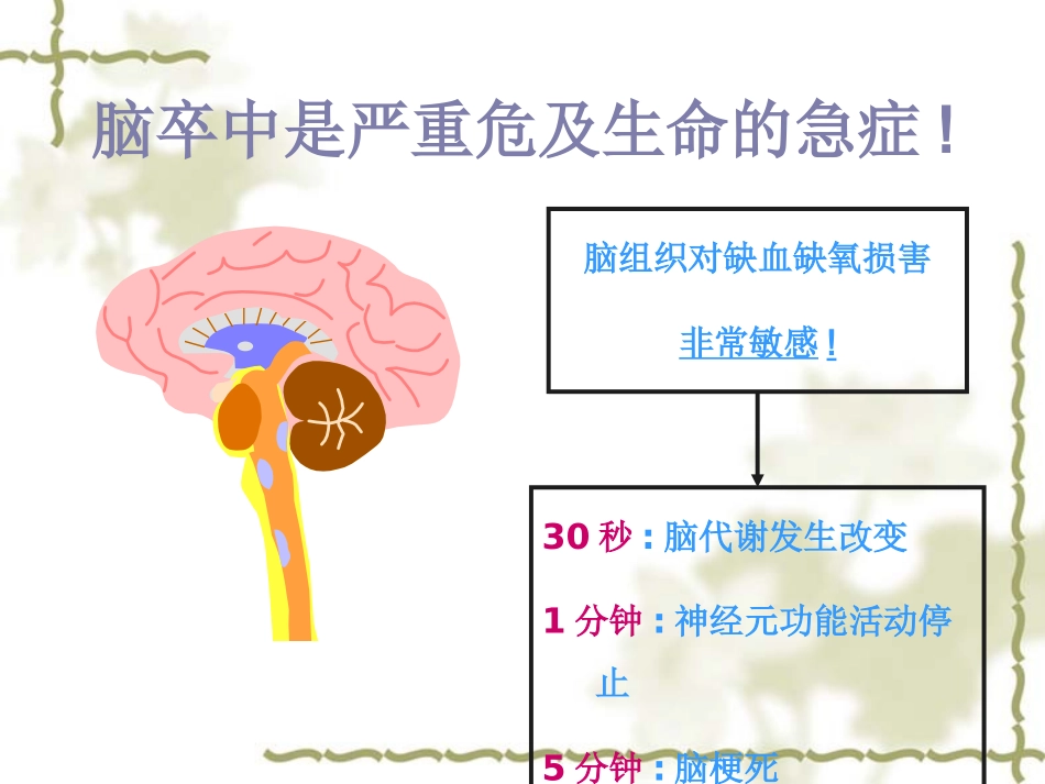 动脉溶栓的护理_第3页