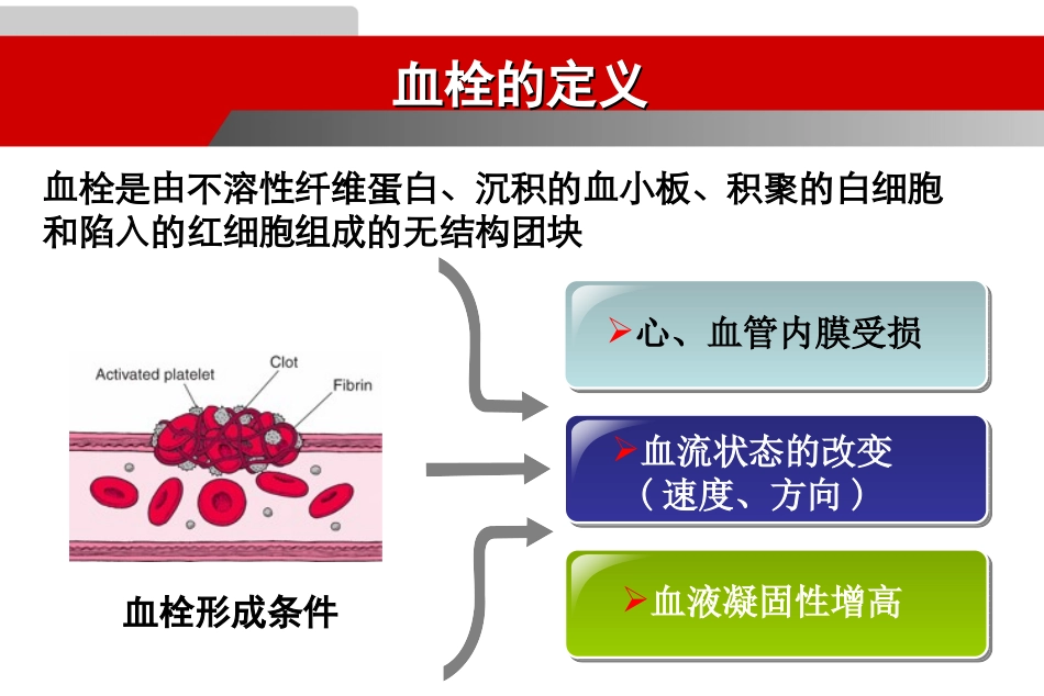 动脉血栓和静脉血栓治疗的比较讲解_第2页