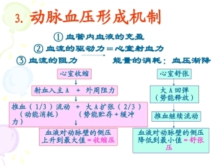 动脉血压形成机制