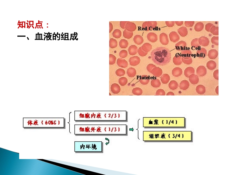动物普通病血液及造血器官疾病_第3页