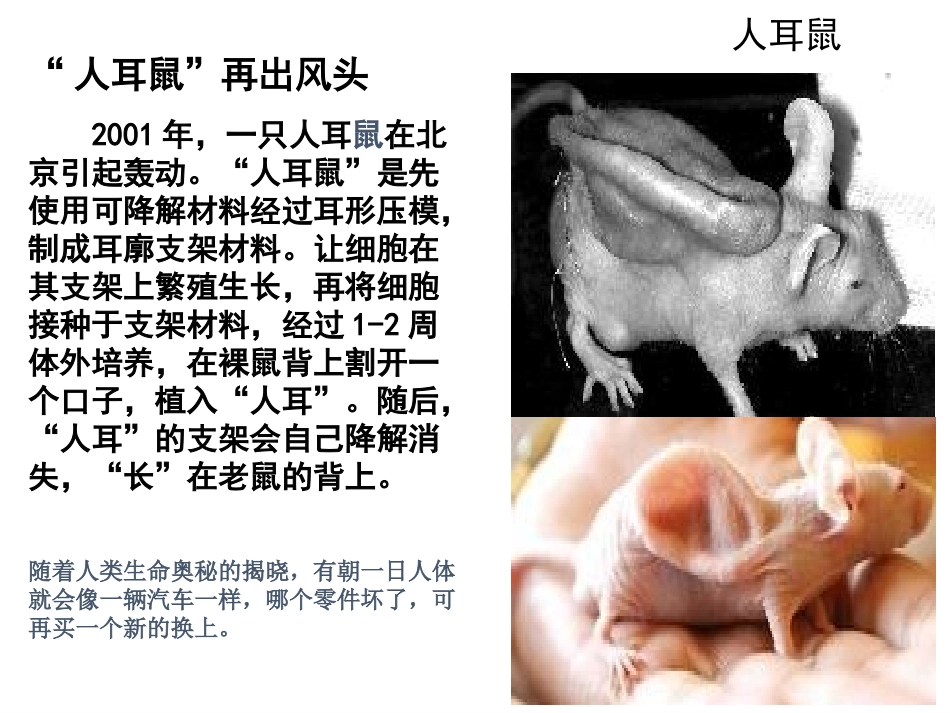 动物细胞培养和核移植技术_第1页