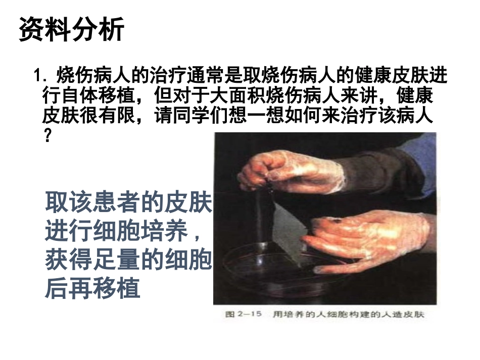 动物细胞培养和核移植技术_第2页