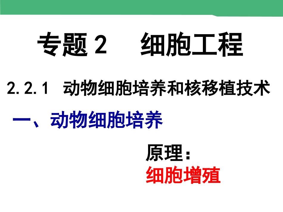 动物细胞培养和核移植技术_第3页