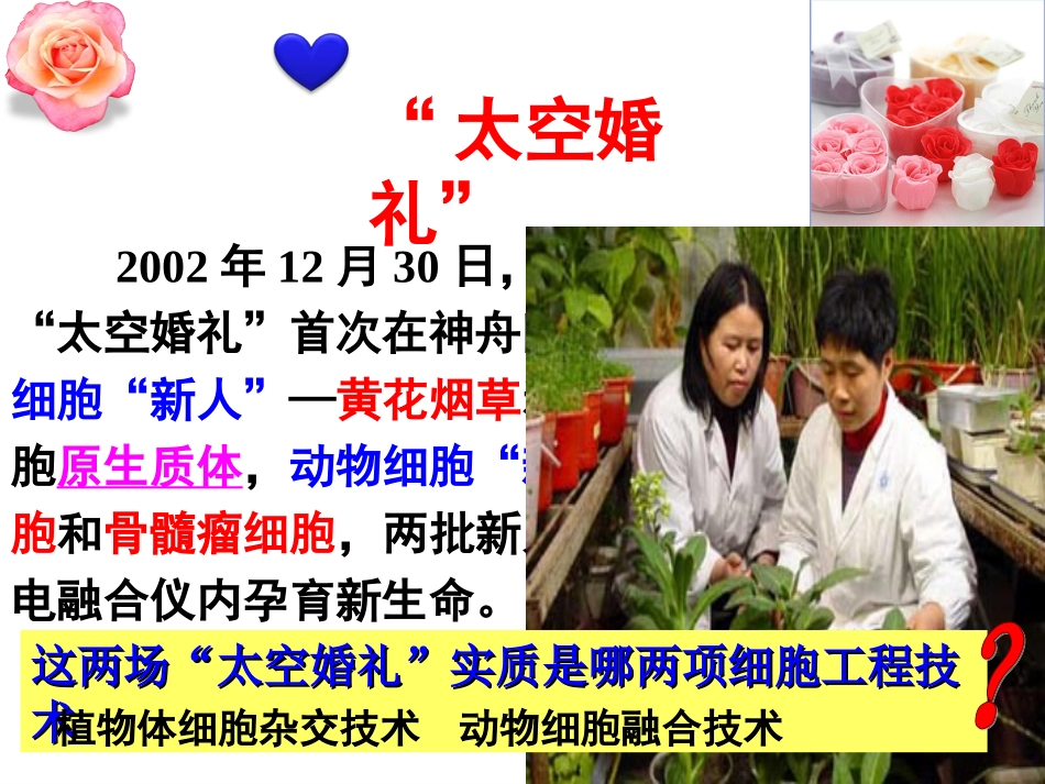 动物细胞融合和单克隆抗体用_第2页