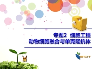 动物细胞融合和单克隆抗体用