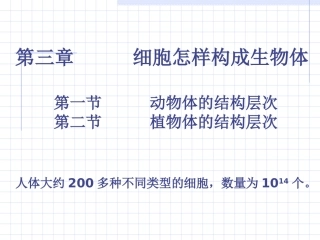 动植物体的结构层次