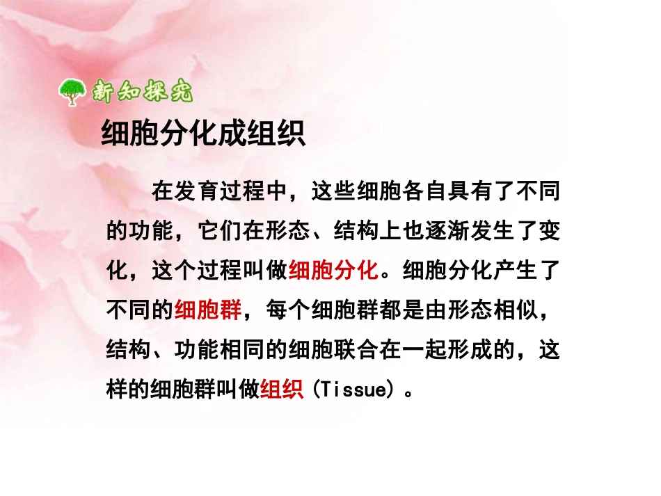 动植物体的结构层次详解_第3页