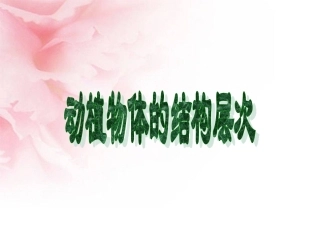 动植物体的结构层次详解