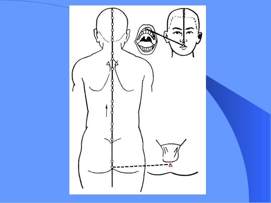 督脉和腧穴带循行动图_第3页