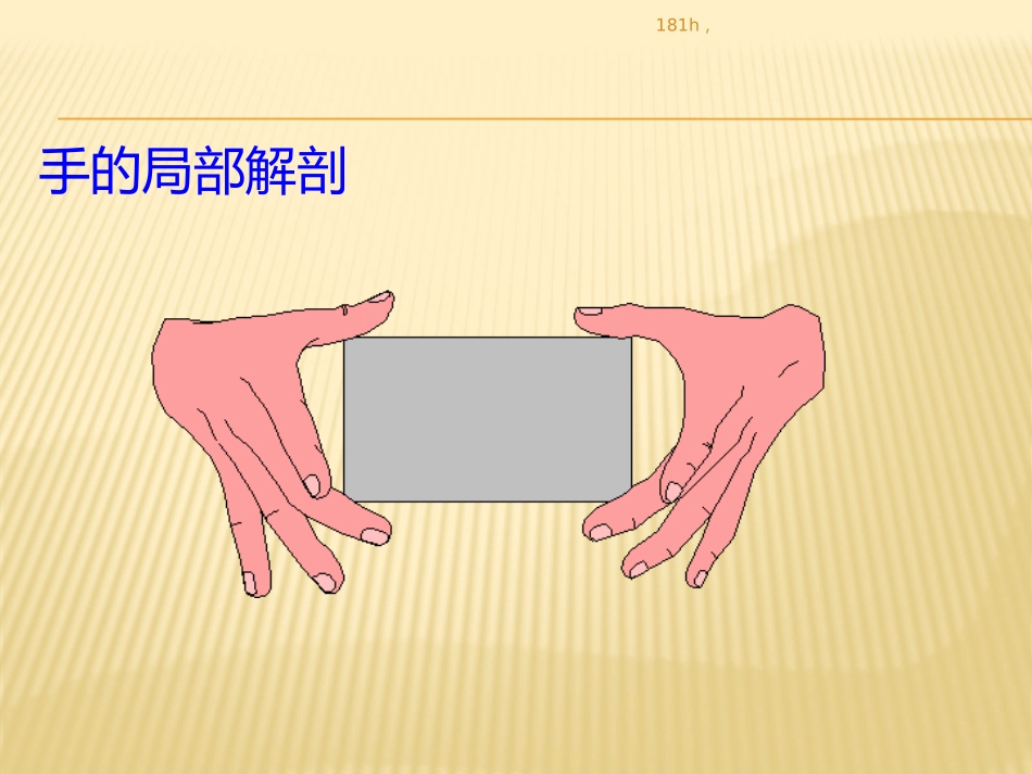 断指再植术后护理及血运观察完整版_第2页