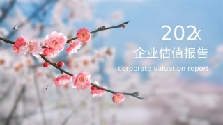 对科创板企业的估值方法选择分析报告