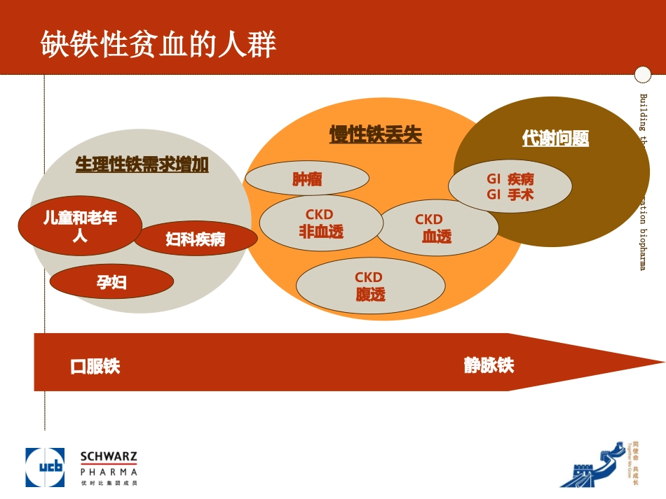 儿童缺铁性贫血_第2页